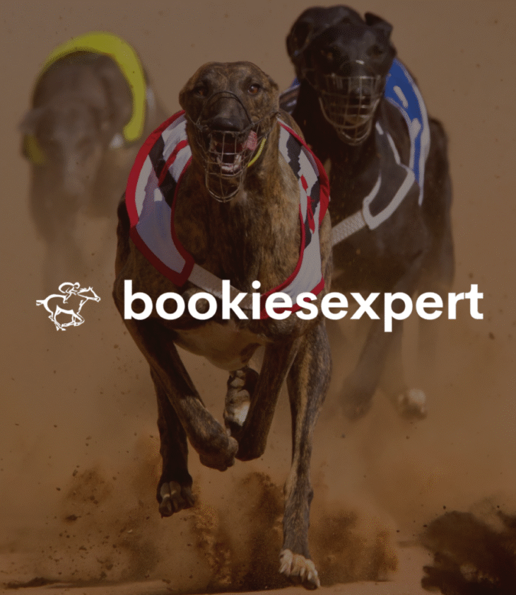 bookies-expert-grafika